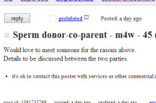 Cape Cod Craigslist Ad Of The Day - Baby Mama Wanted