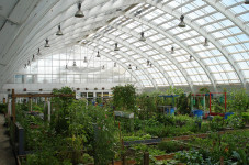 greenhouse01lg