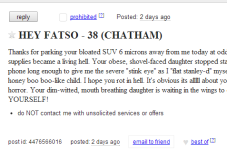 Cape Cod Craigslist Ad Of The Day - HEY FATSO - 38 (Chatham)