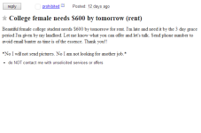 Cape Cod Craigslist Ad Of The Day - College Female Needs $600 By Tomorrow