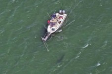 Four Sharks Spotted Off The Cape Yesterday And Not One Person Was Eaten? 
