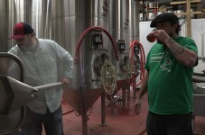 You're Welcome, Cape Cod:  The Real Cape Busts Ass to Make You Beer (Just Don't Drink Batch #0984290...