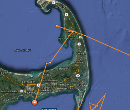 katharine cape cod shark4