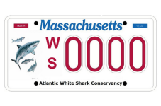 Great, The Sharks Have Their Own License Plates Now