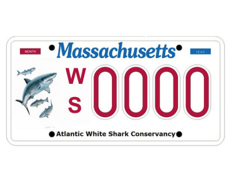 shark plates