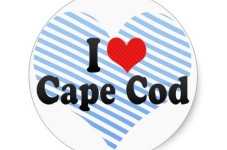 Just A Friendly Reminder About How Great Cape Cod Is