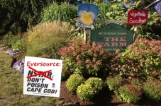 Eversource To Pick Up Right Where NSTAR Left Off With Poisoning Cape Cod