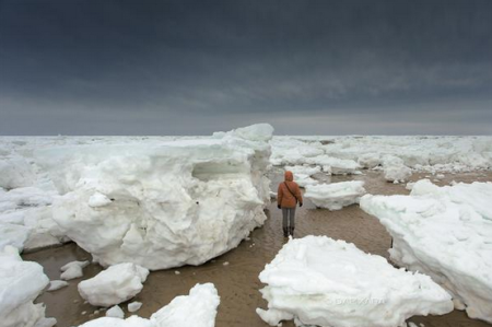 wellfleet ice