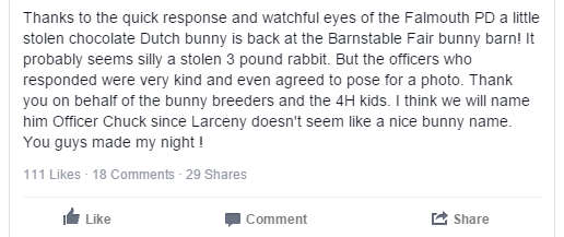 barnstable county fair stolen bunny2