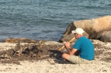 Just An Average Cape Cod Day - A Dude Playing The Flute For A Family Of Ducks At The Beach