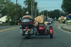 Is There A Sidecar Convention On Cape Cod We Didn't Know About?